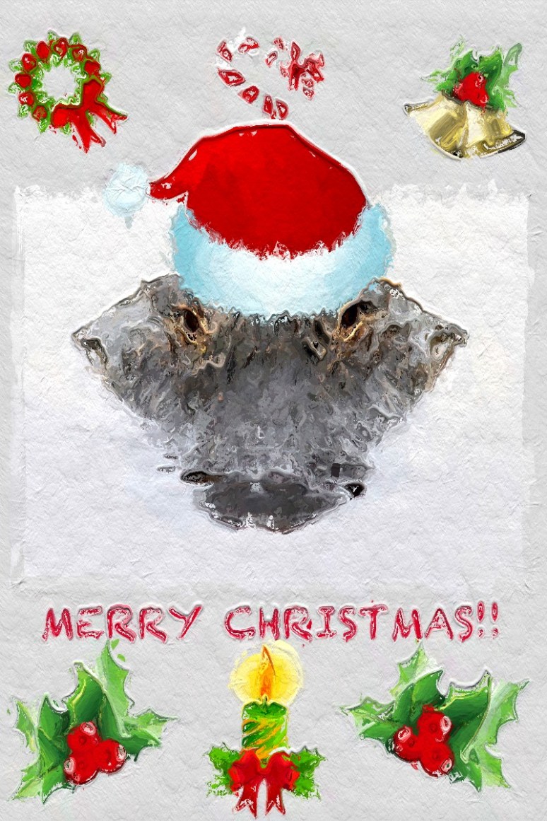 Merry Christmas Alligator