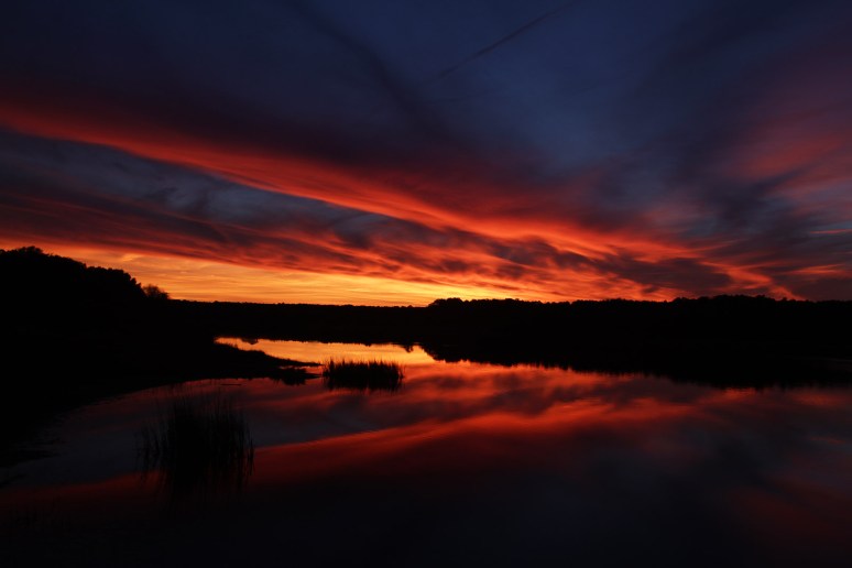 Sunset At The Marsh