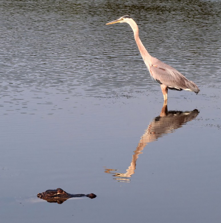 Nothing to Worry About