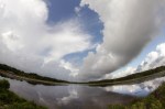 Fisheye View of the Marsh&nbsp;Pond