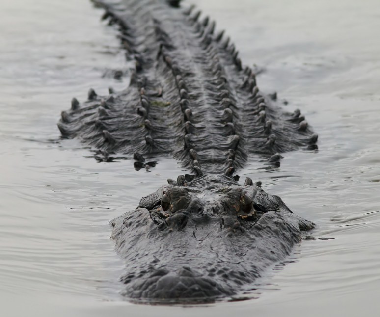 Mr A Before The Rain 