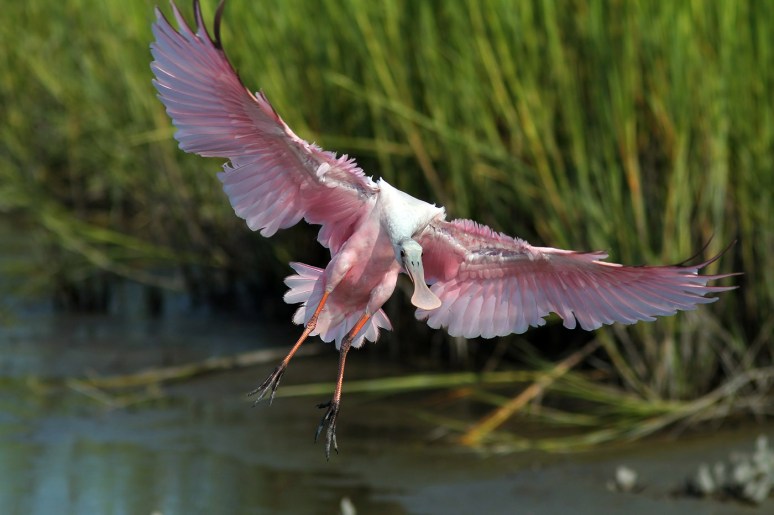 Calm Before The Storm 