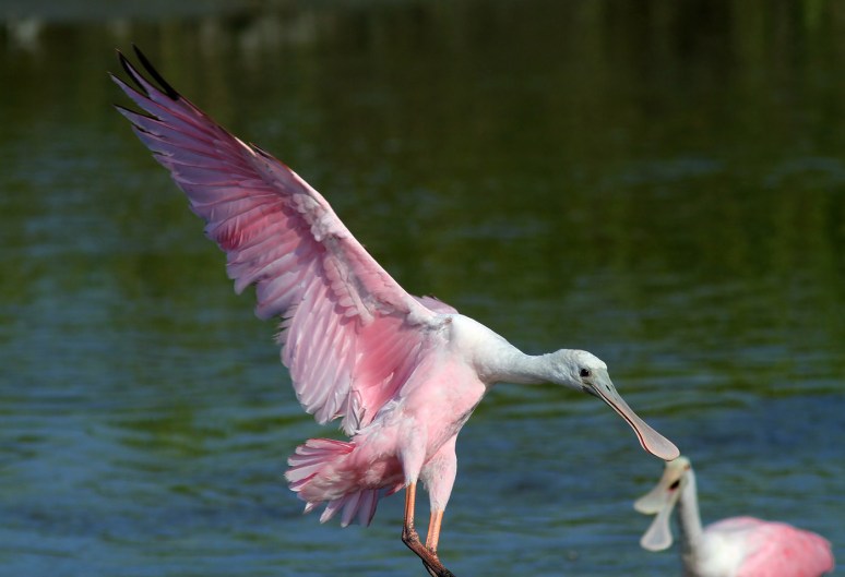 Calm Before The Storm 