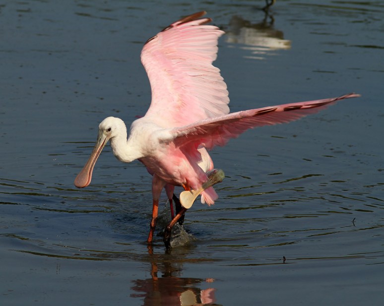 Calm Before The Storm 