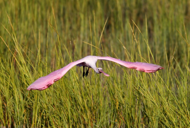 Calm Before The Storm 