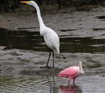 New Improved Mr&nbsp;Cranky