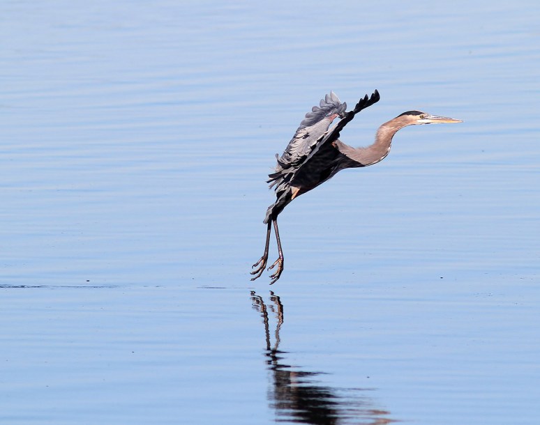 GBH Touch and Go Landing