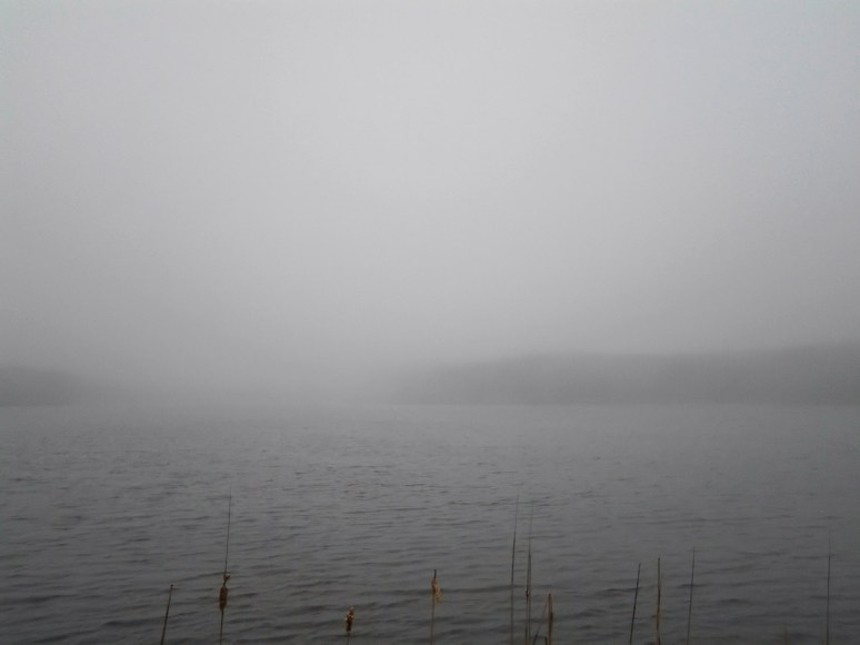 Fog at the Marsh Pond 
