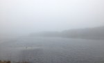 Fog at the Marsh&nbsp;Pond