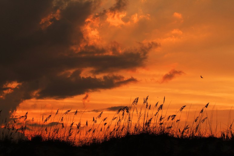 Sunset  From the Beach at HBSP 
