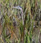 GBH in Stealth&nbsp;Mode