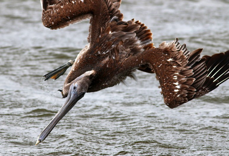 Crashes and Splashes 