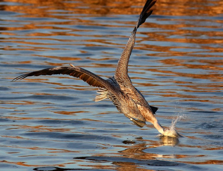 Crashes and Splashes