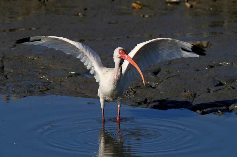 Where Did Everybody Go 