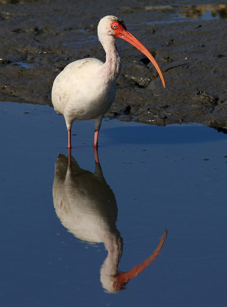 Where Did Everybody Go 