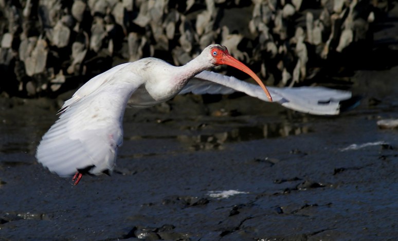 Where Did Everybody Go 