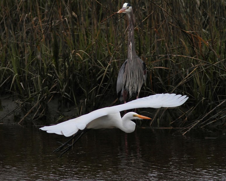 Mind If I Pass Through