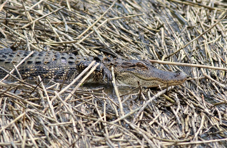 Party After The Storm
