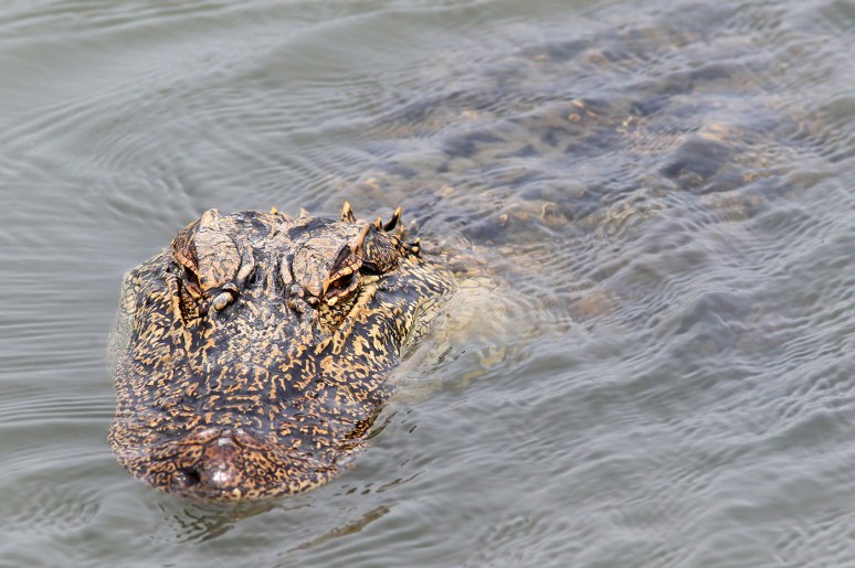 Party After The Storm