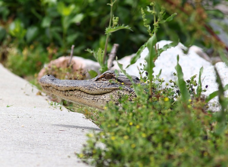 Party After The Storm