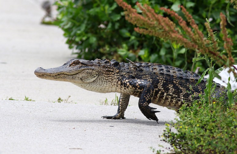 Party After The Storm