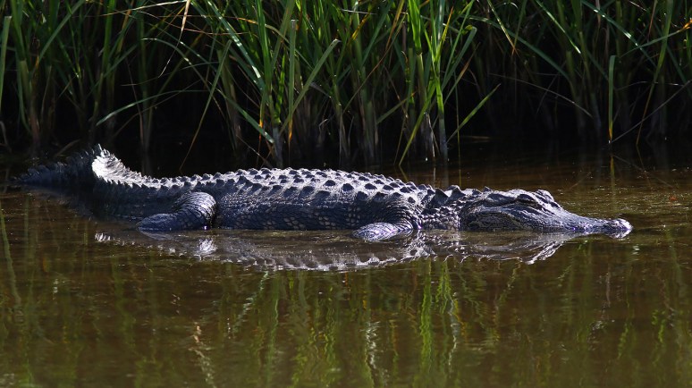 Saturday Afternoon 02