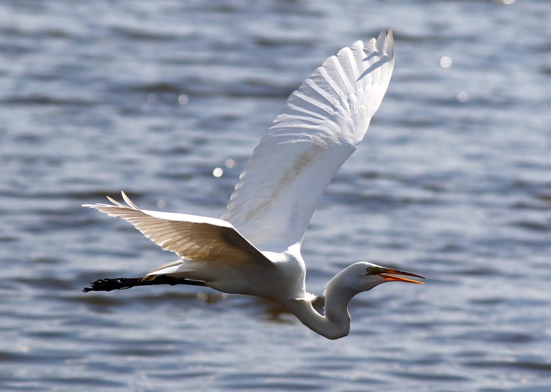 Saturday Afternoon 03