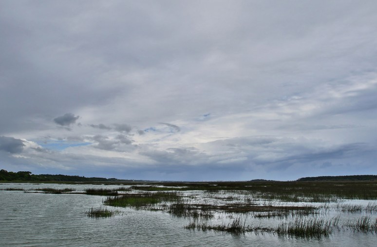 Stormy Day at the Marsh 
