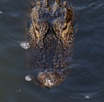 Score One For The Little&nbsp;Guys