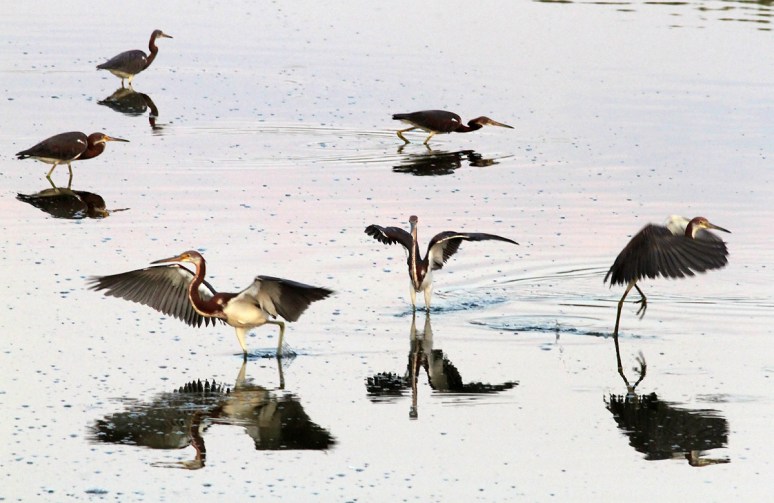 What Are We Supposed To Do