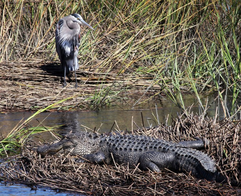 Having A Place in the Sun 