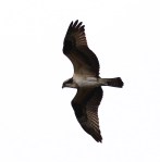 Last Day of&nbsp;Rain