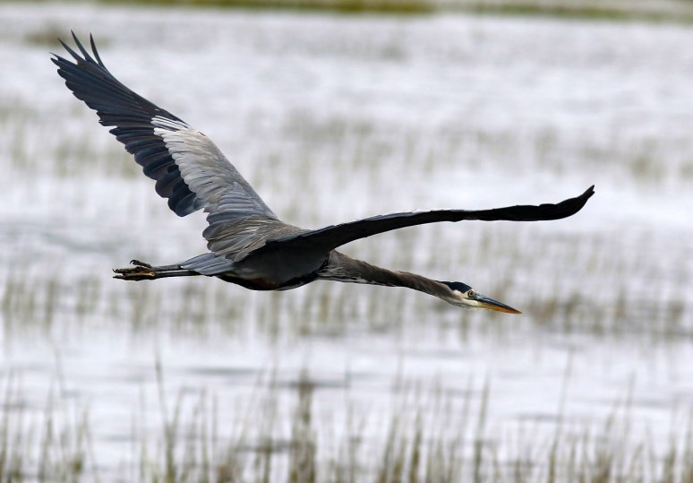 So Thats Where He Was Going 