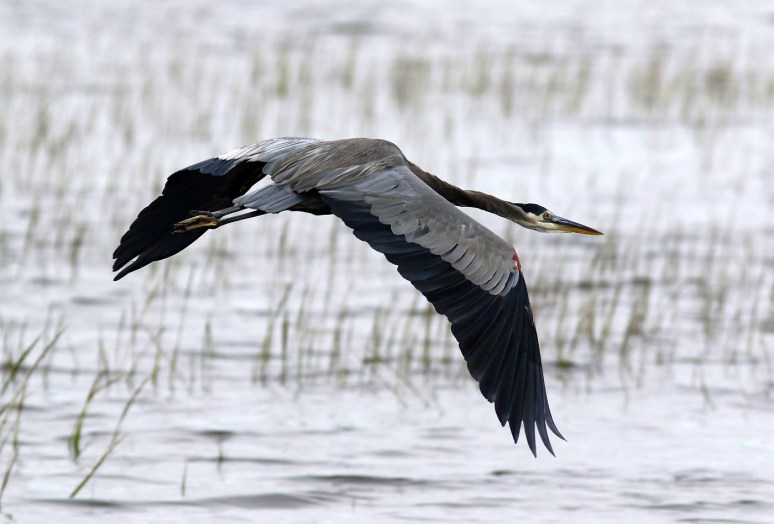 So Thats Where He Was Going 