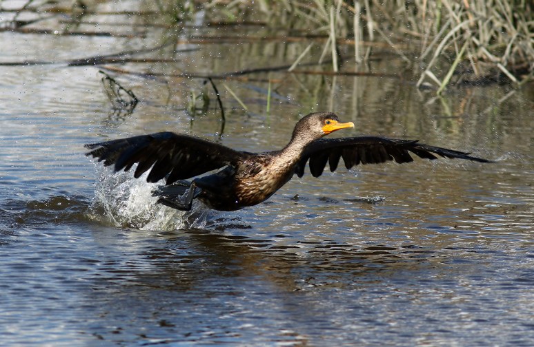 A Long Time To Leave 