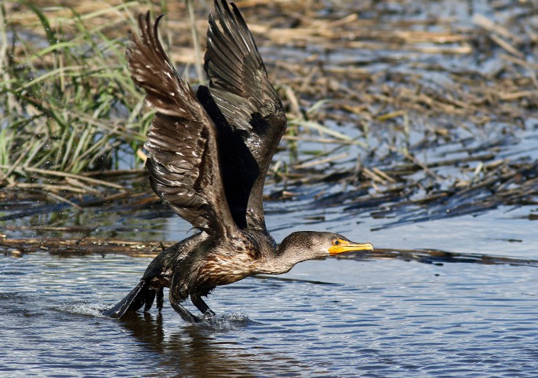 A Long Time To Leave 