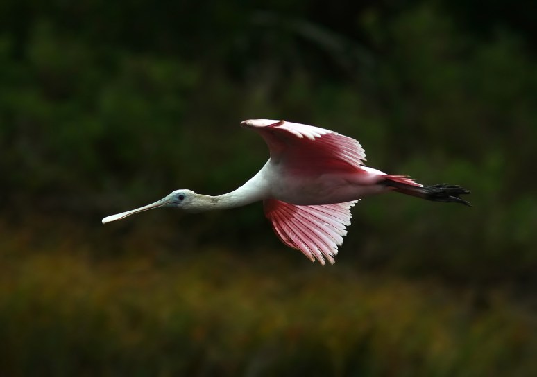 Dropping In On Friends 01