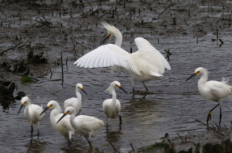 Theres One In Every Group 