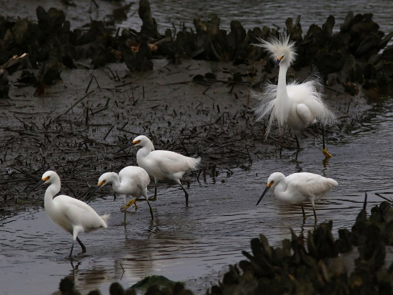 Theres One In Every Group 