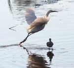 Hey Watch My&nbsp;Head