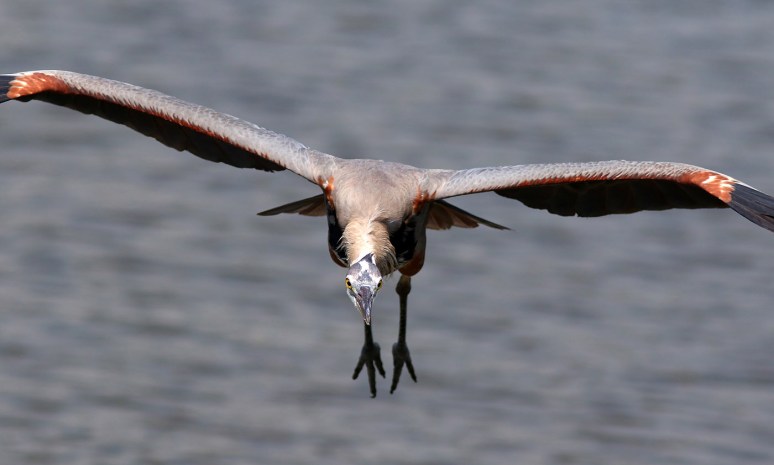 Some Active Some Not 