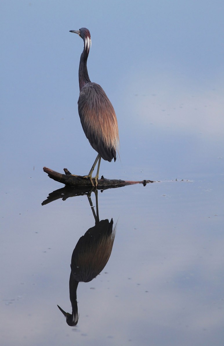 Some Active Some Not 