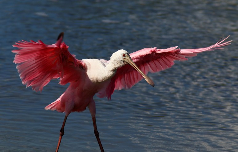bath-day-for-spoonie-