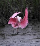 beginning-middle-end-