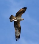 beginning-middle-end-