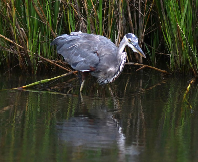 better-than-nothing-01