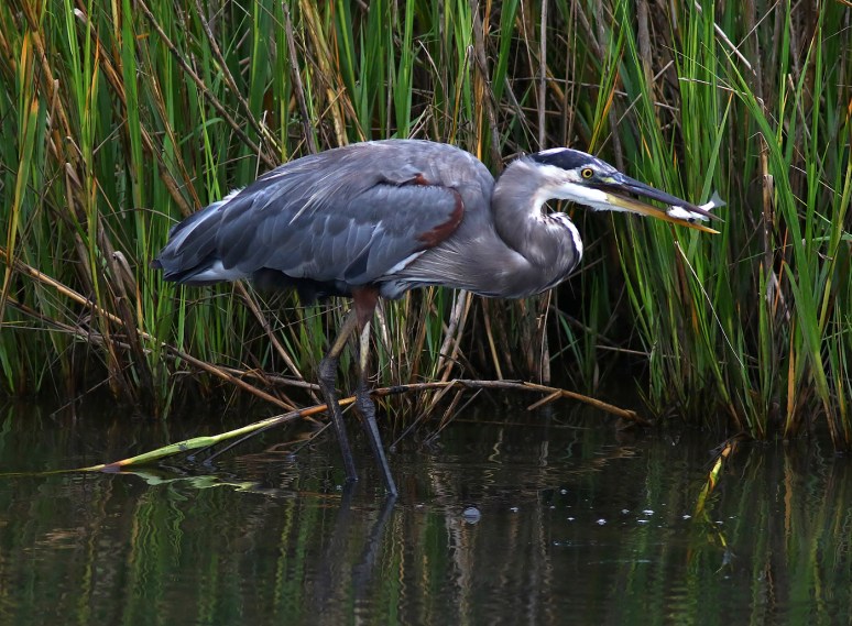 better-than-nothing-