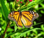 3A04E1F3-5F12-4258-B8F5-CBC91C1985EE